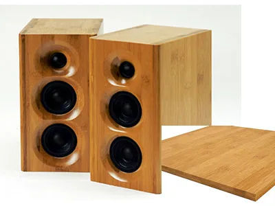 Panneau de bambou pour enceintes