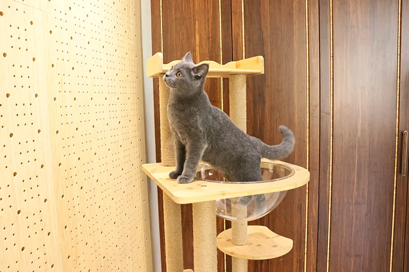 Cat-shaped Bamboo Cat Climbing Frame