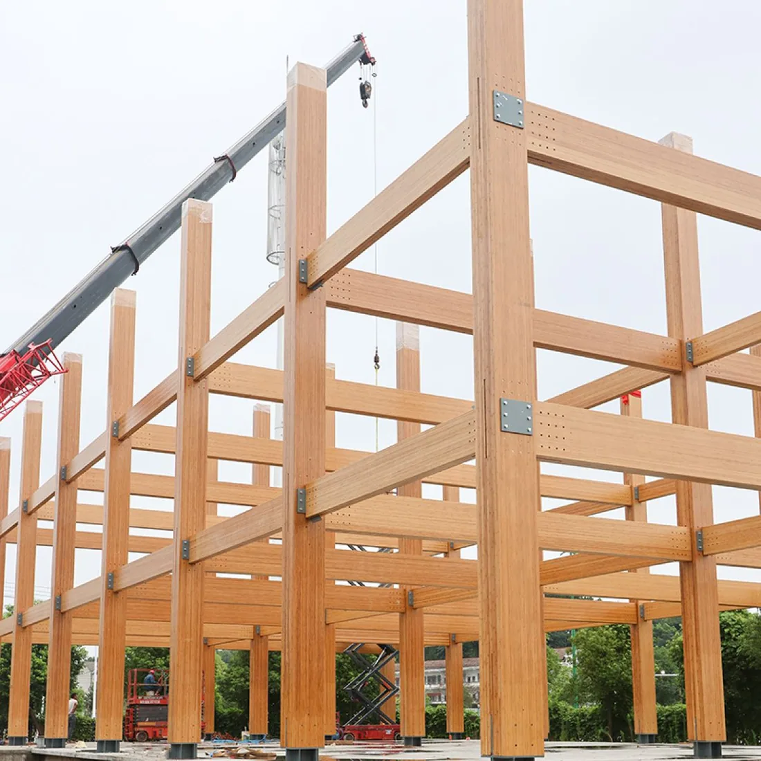Modern Bamboo Structure Building